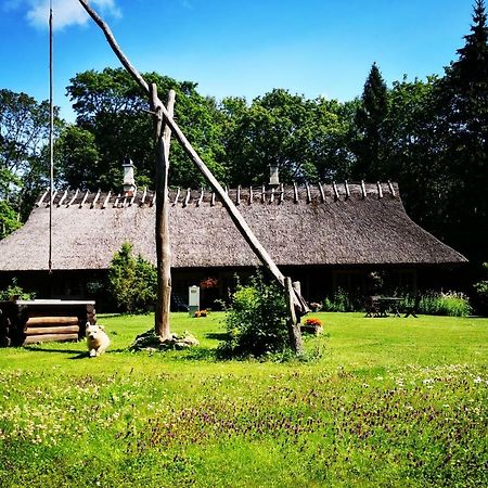 Hotel Kotka Farm Saarekula Exterior foto