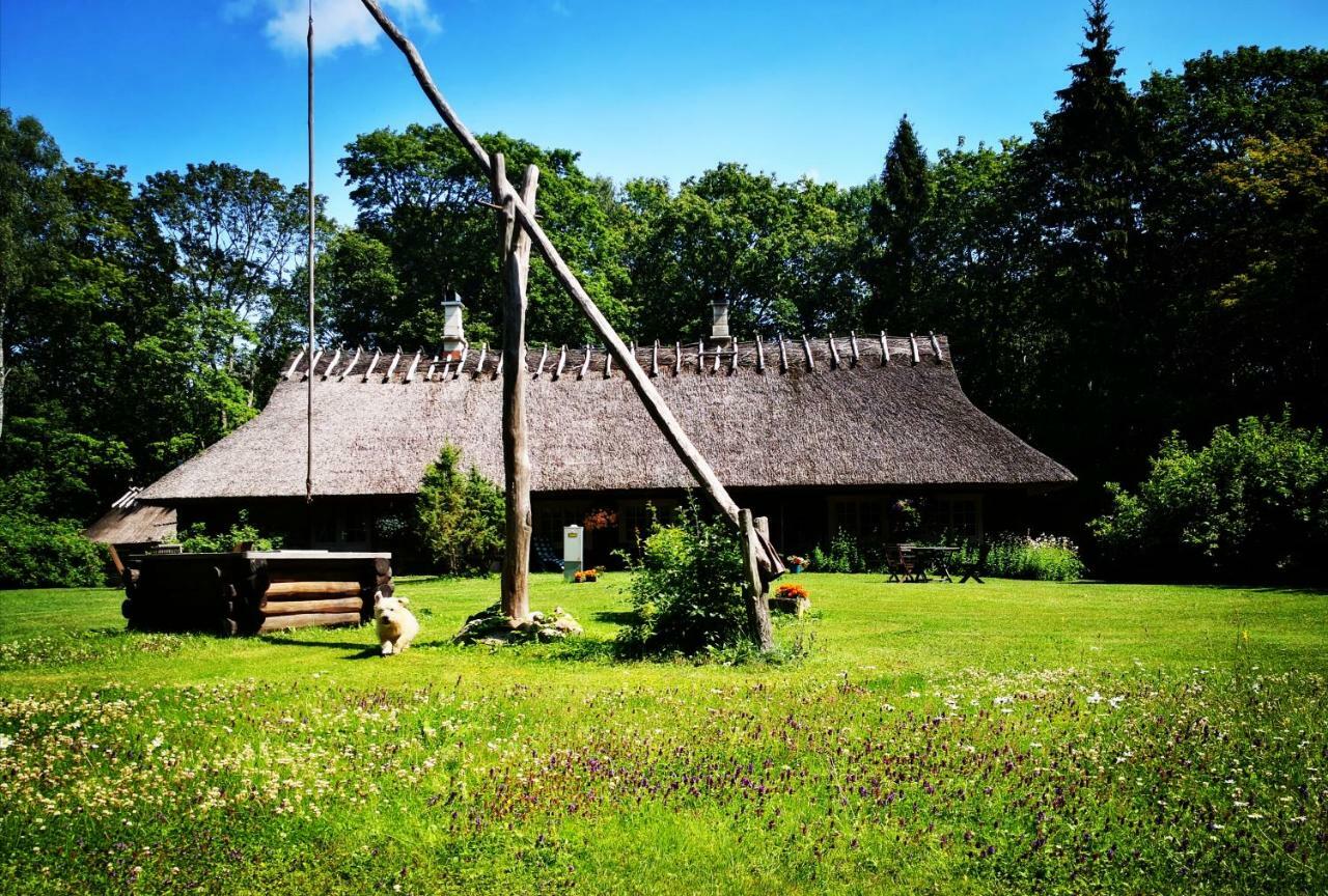 Hotel Kotka Farm Saarekula Exterior foto